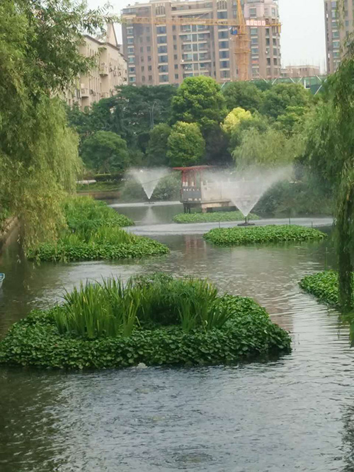 沉水式鼓大香蕉视频网站-河道治理