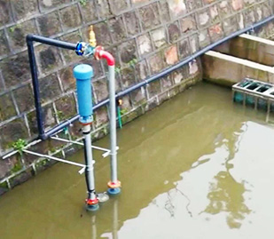 廈門筼簹香蕉视频在线污廠