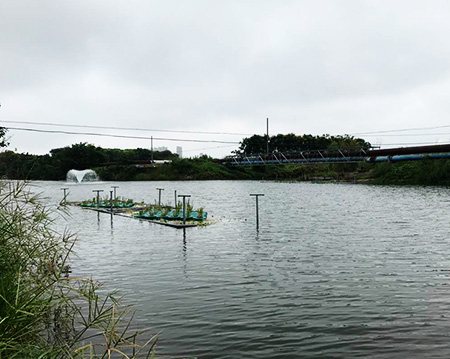 香蕉视频你懂的香蕉视频你懂的沉水式大香蕉视频网站使用方便噪音小！