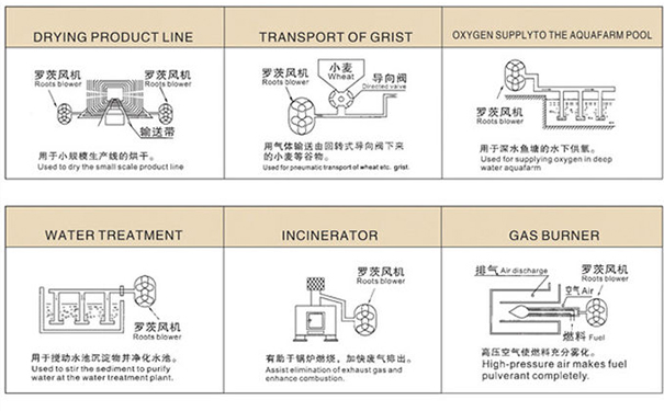 羅茨大香蕉视频网站用途